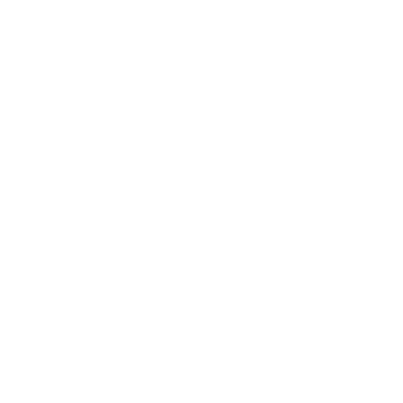 Mahnwesen Carabiner